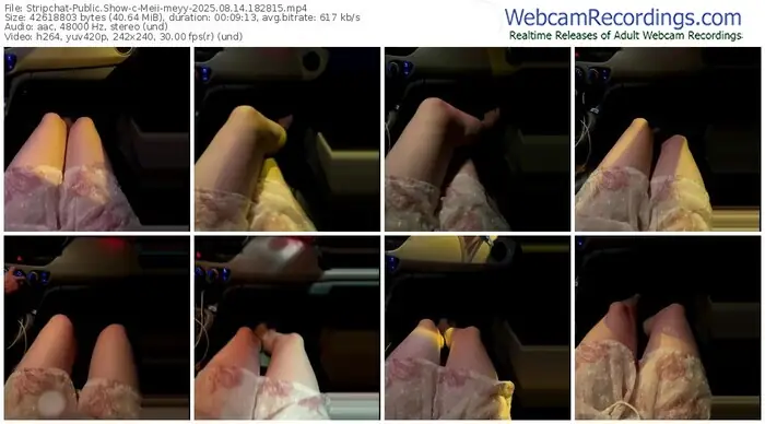 stripchat-meii-meyy-08-14-2025-18-28-15