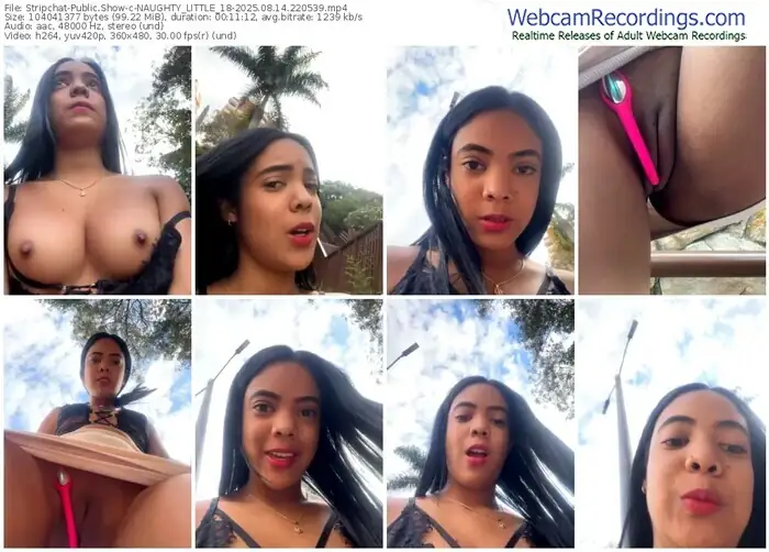 stripchat-naughty_little_18-08-14-2025-22-05-39