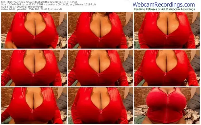 stripchat-bigasstitt-08-14-2025-13-18-15