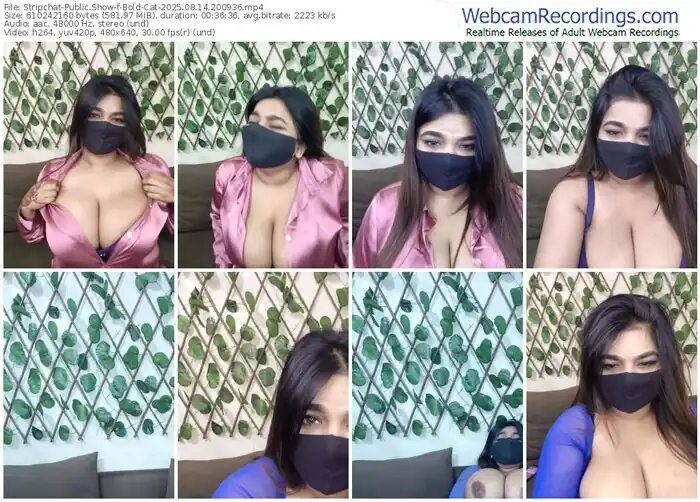 stripchat-bold-cat-08-14-2025-20-09-36