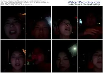 stripchat-dandanburgerking-08-14-2025-14-11-54