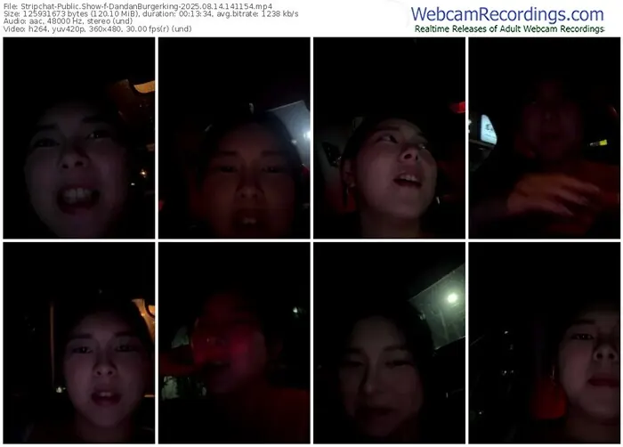 stripchat-dandanburgerking-08-14-2025-14-11-54