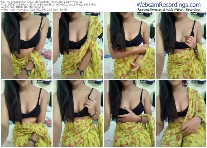 stripchat-meenakshi_-08-14-2025-04-23-23