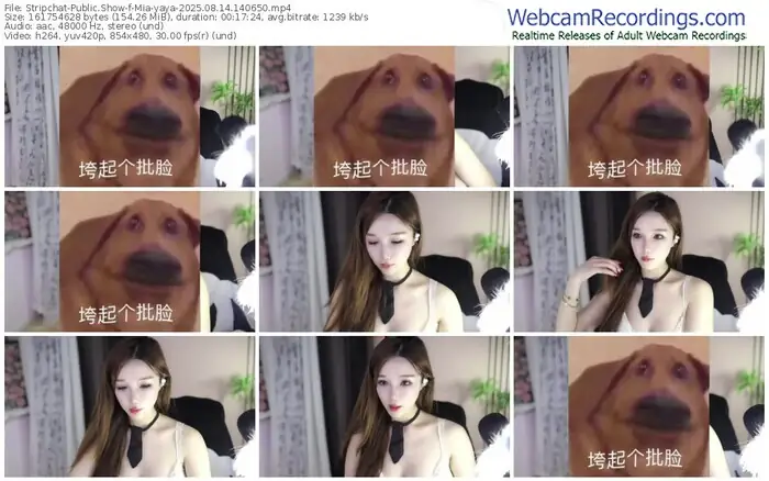 stripchat-mia-yaya-08-14-2025-14-06-50