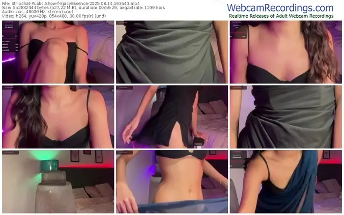 stripchat-spicyessence-08-14-2025-19-35-43