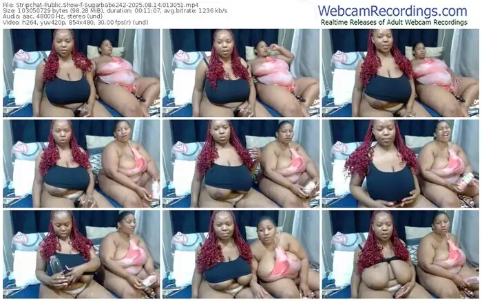 stripchat-sugarbabe242-08-14-2025-01-30-51