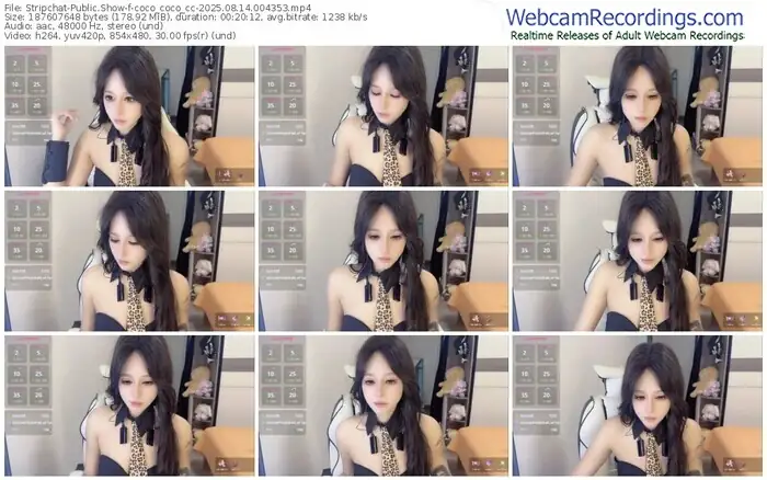stripchat-coco_coco_cc-08-14-2025-00-43-53