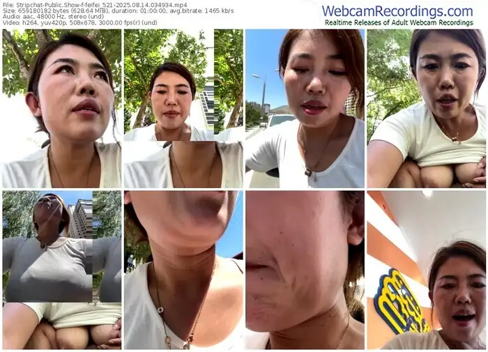 stripchat-feifei_521-08-14-2025-03-49-34