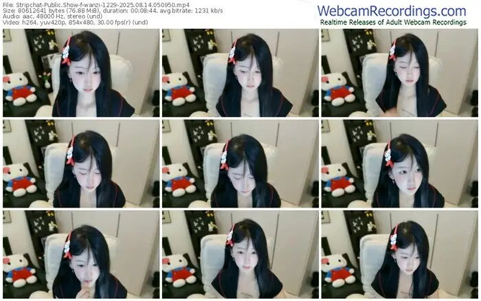 stripchat-wanzi-1229-08-14-2025-05-09-50