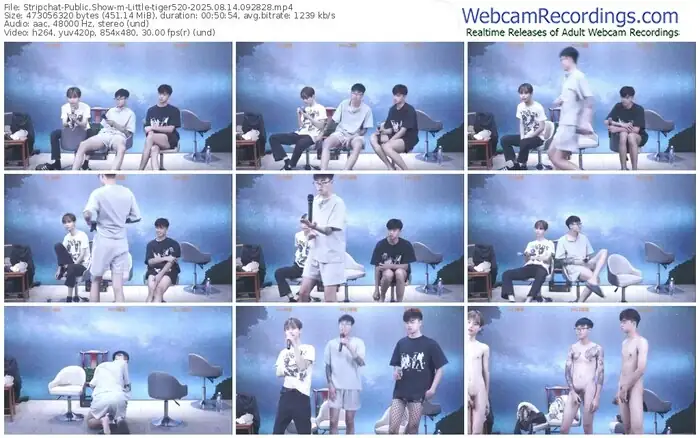 stripchat-little-tiger520-08-14-2025-09-28-28