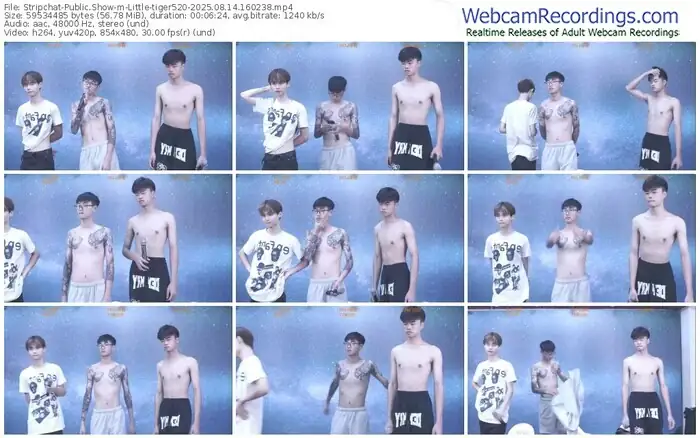 stripchat-little-tiger520-08-14-2025-16-02-38