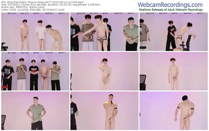 stripchat-mass-6677-08-14-2025-11-21-48