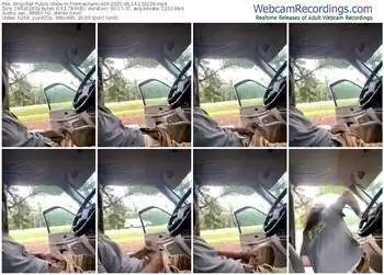 stripchat-themechanic420-08-14-2025-13-32-29