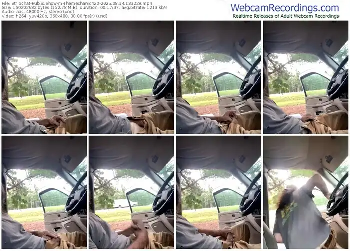 stripchat-themechanic420-08-14-2025-13-32-29