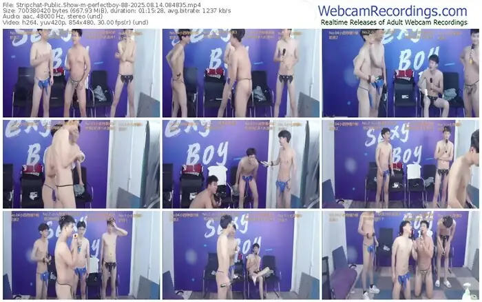 stripchat-perfectboy-88-08-14-2025-08-48-35