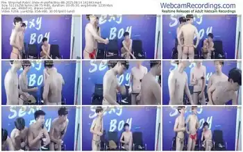 stripchat-perfectboy-88-08-14-2025-16-24-43