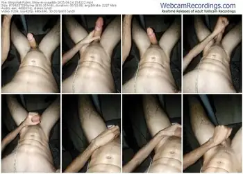 stripchat-ssaaddii-08-14-2025-15-42-22