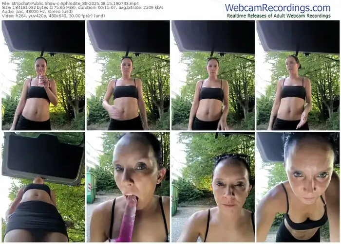 stripchat-aphrodite_88-08-15-2025-18-07-43