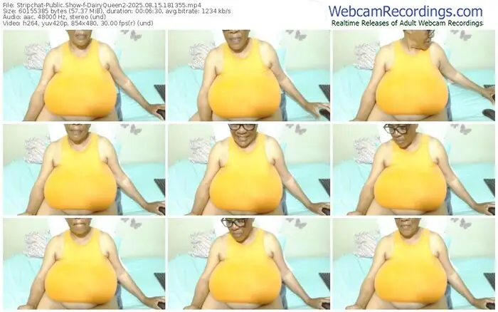 stripchat-dairyqueen2-08-15-2025-18-13-55