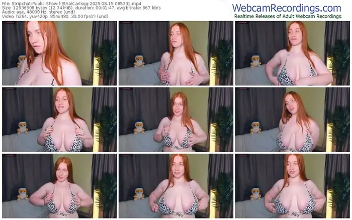 stripchat-ethalcarlsqq-08-15-2025-08-53-31