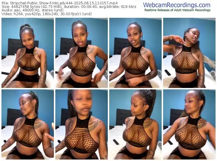 stripchat-inklady444-08-15-2025-11-01-57