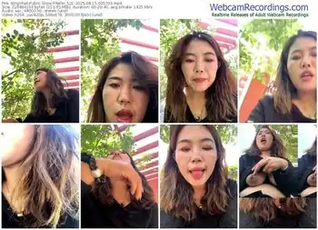 stripchat-feifei_521-08-15-2025-03-57-03