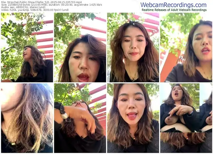 stripchat-feifei_521-08-15-2025-03-57-03