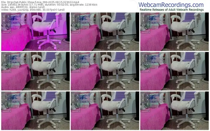 stripchat-mia_099-08-15-2025-02-30-22