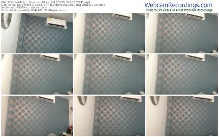 stripchat-violeta_cute18-08-15-2025-00-39-45