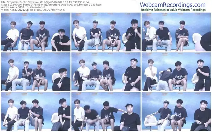 stripchat-little-tiger520-08-15-2025-09-13-36