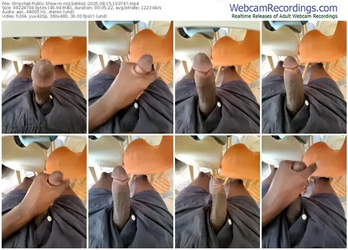stripchat-no1belike1-08-15-2025-10-37-47