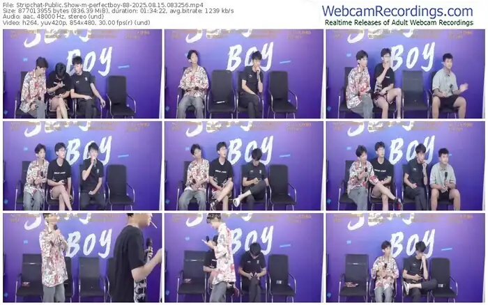 stripchat-perfectboy-88-08-15-2025-08-32-56