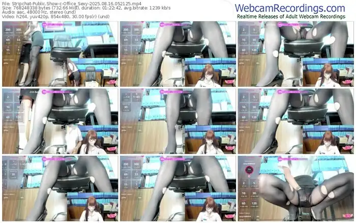 stripchat-office_sexy-08-16-2025-05-21-25