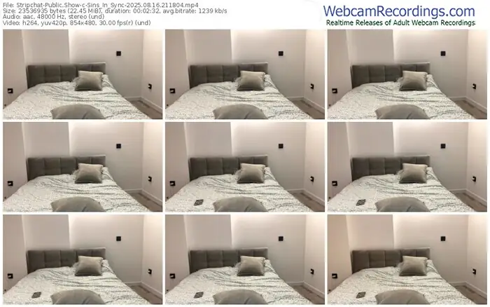 stripchat-sins_in_sync-08-16-2025-21-18-04