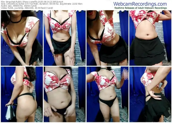 stripchat-snwflk-08-16-2025-21-39-53