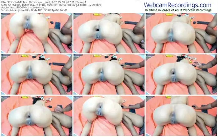 stripchat-you_and_i9-08-16-2025-02-11-24