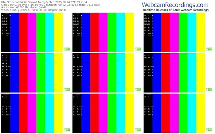 stripchat-ammyscotch-08-16-2025-07-11-27
