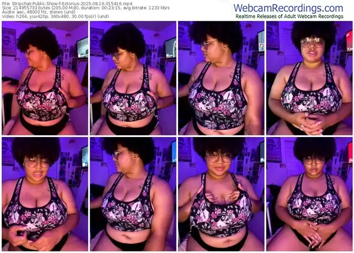 stripchat-ectorius-08-16-2025-01-54-16