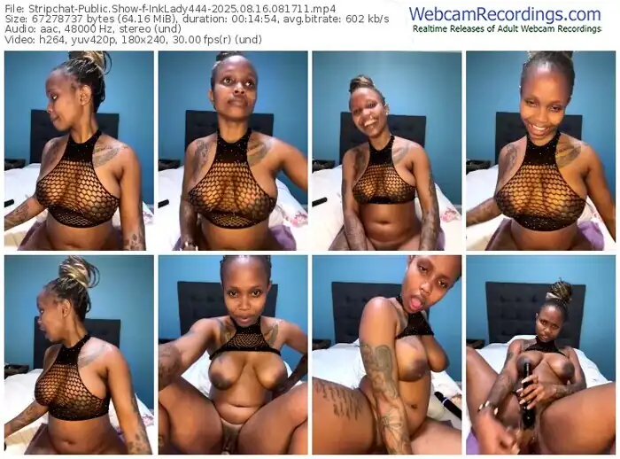 stripchat-inklady444-08-16-2025-08-17-11