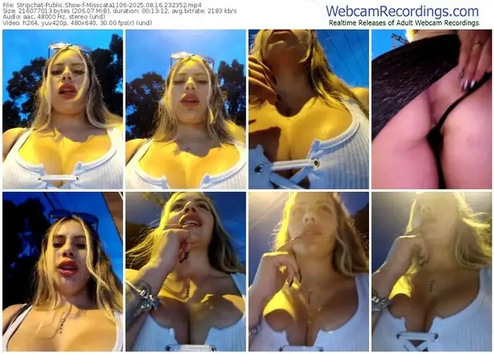stripchat-misscata1106-08-16-2025-23-23-52