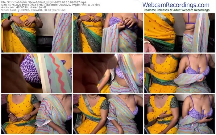 stripchat-silent_bdgirl-08-16-2025-01-06-27