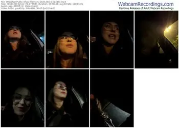 stripchat-lemyny-08-16-2025-01-48-51