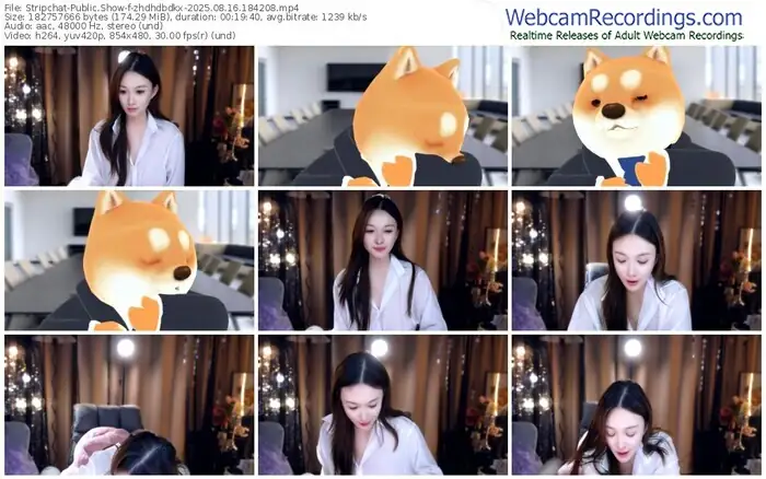 stripchat-zhdhdbdkx-08-16-2025-18-42-08