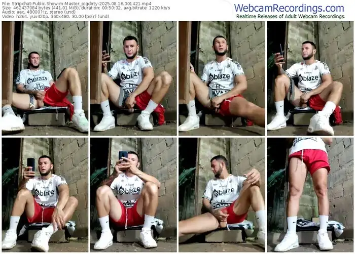 stripchat-master_pigdirty-08-16-2025-00-14-21