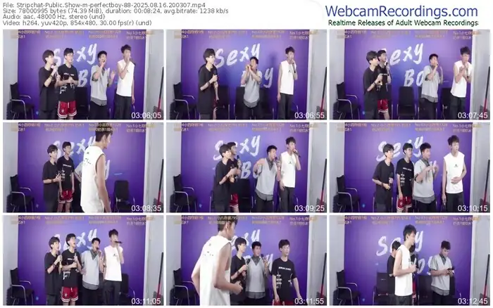 stripchat-perfectboy-88-08-16-2025-20-03-07