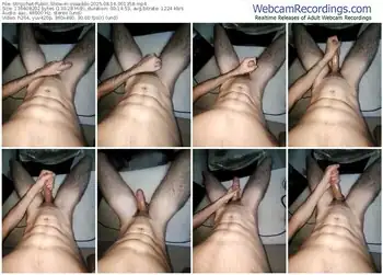 stripchat-ssaaddii-08-16-2025-00-13-58