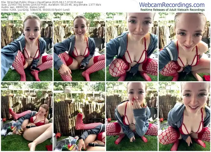 stripchat-fayeflame-08-17-2025-07-31-35