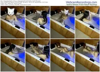 stripchat-patpatpatcift-08-17-2025-22-13-30