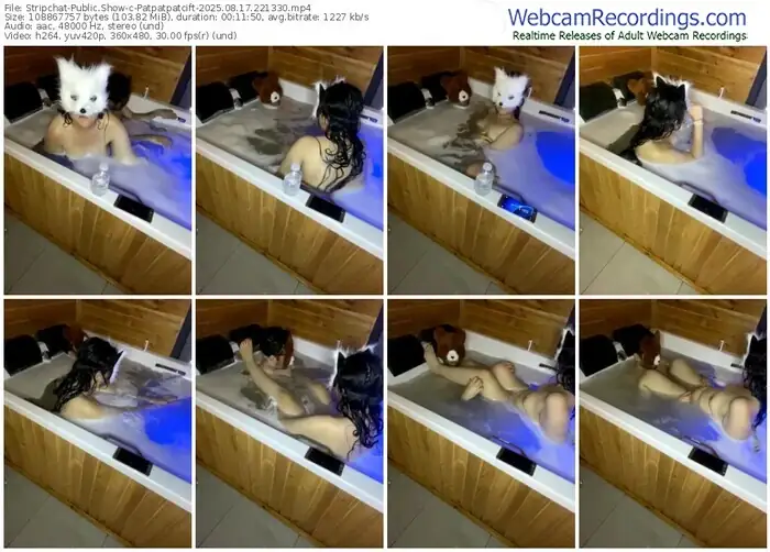 stripchat-patpatpatcift-08-17-2025-22-13-30