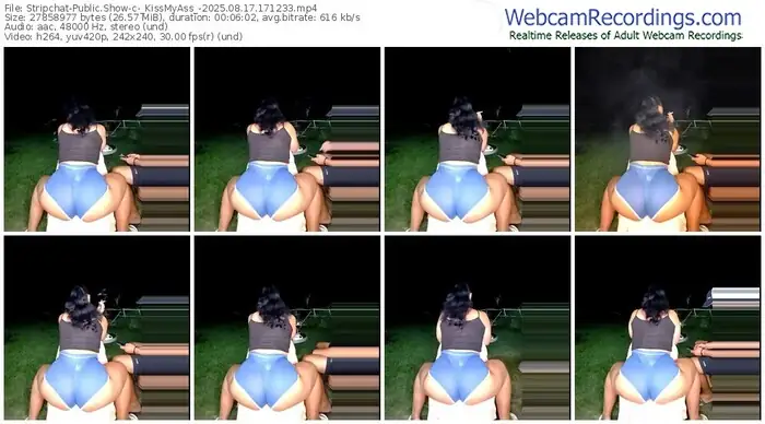 stripchat-_kissmyass_-08-17-2025-17-12-33